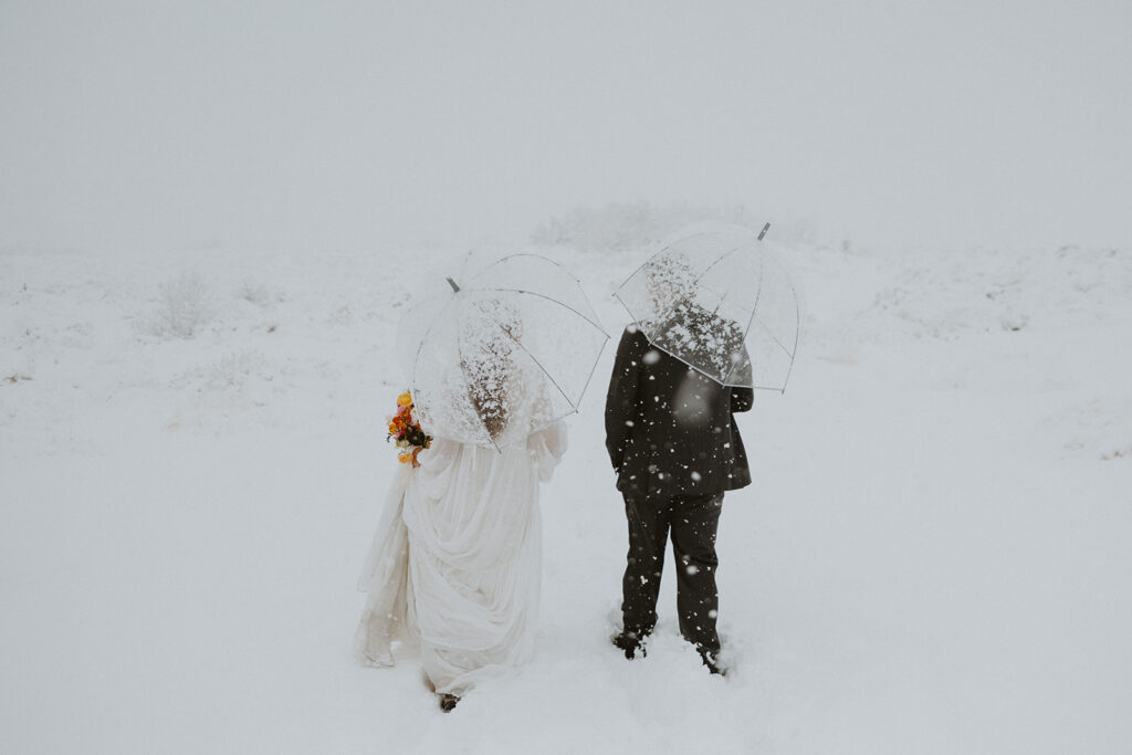 bride and groom walking in a winter wonderland with clear umbrellas