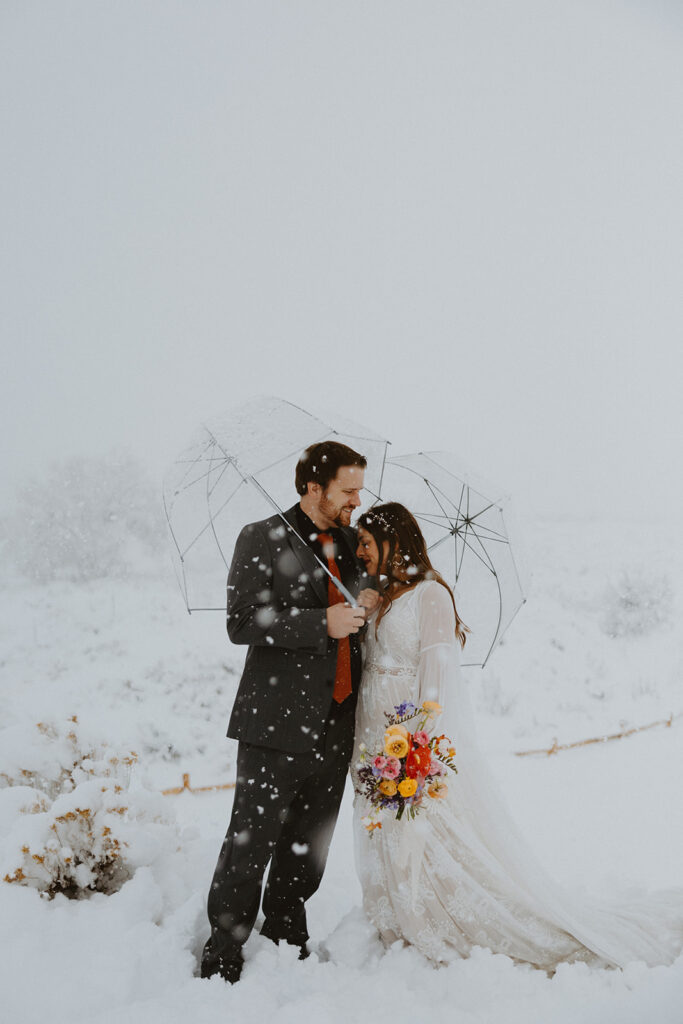 snowy elopement photo with clear umbrellas