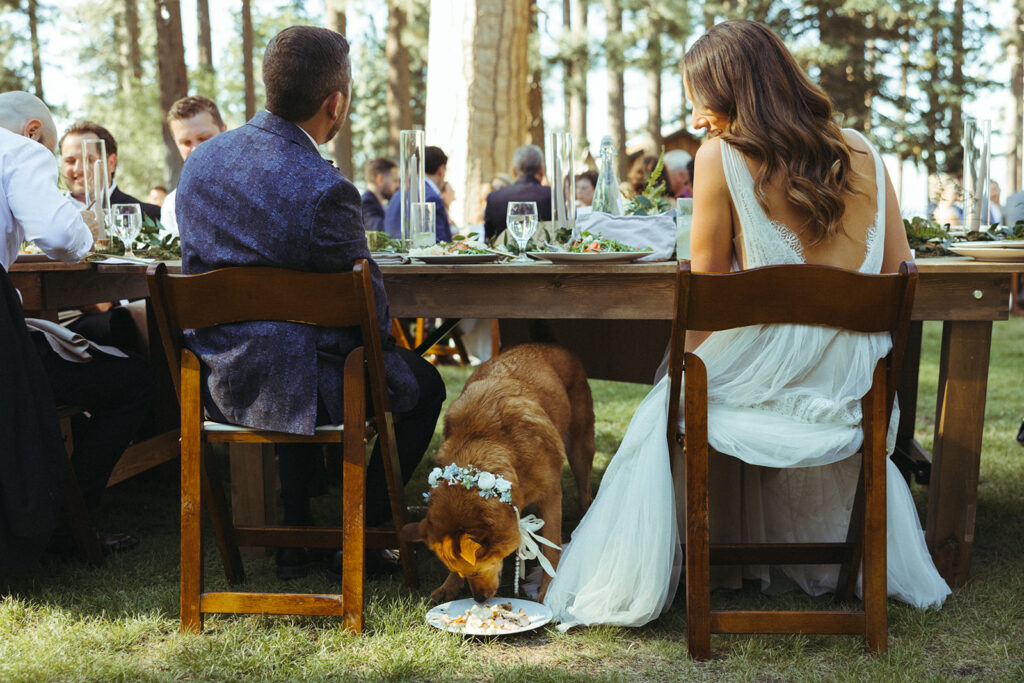 valhalla tahoe wedding