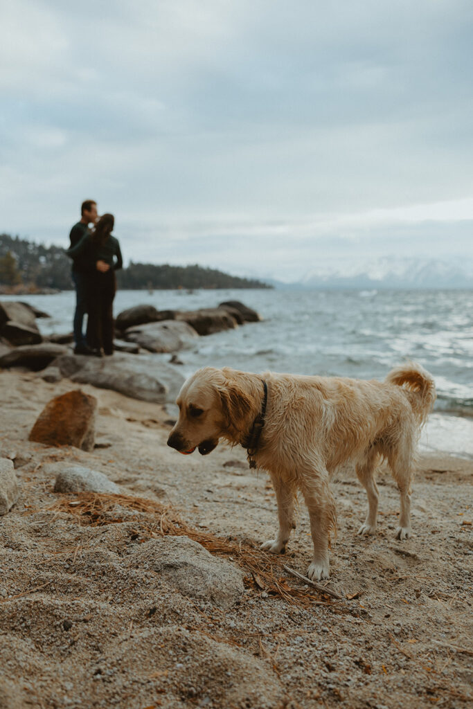 lake tahoe engagement photoshoot